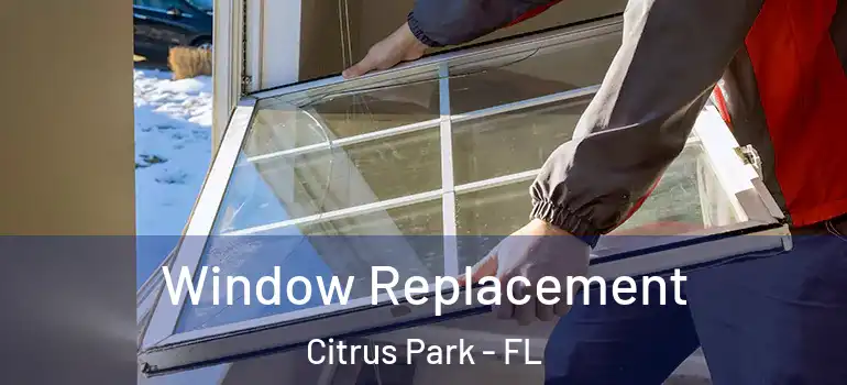  Window Replacement Citrus Park - FL