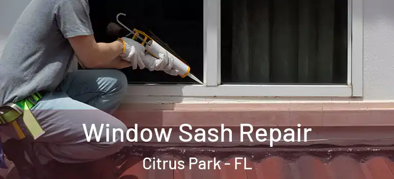  Window Sash Repair Citrus Park - FL