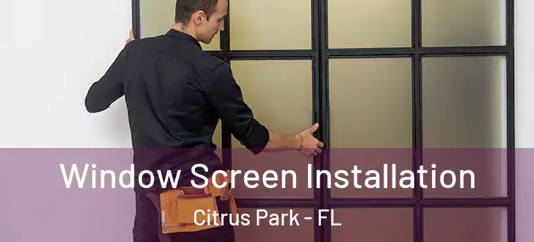  Window Screen Installation Citrus Park - FL