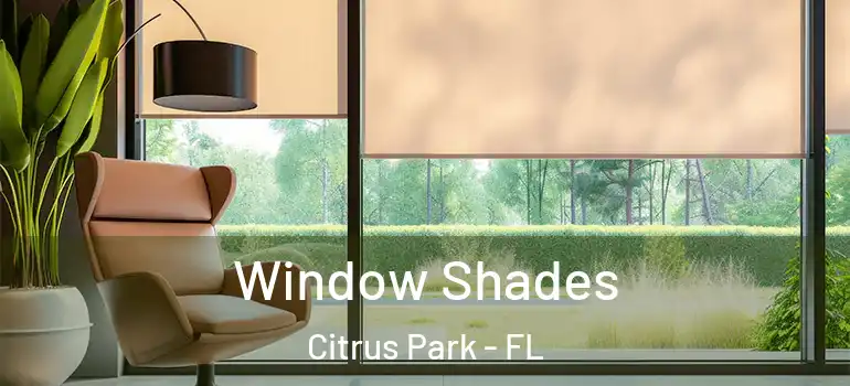  Window Shades Citrus Park - FL