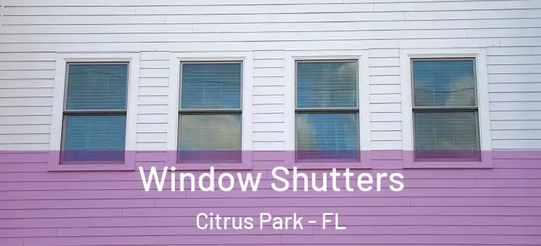  Window Shutters Citrus Park - FL