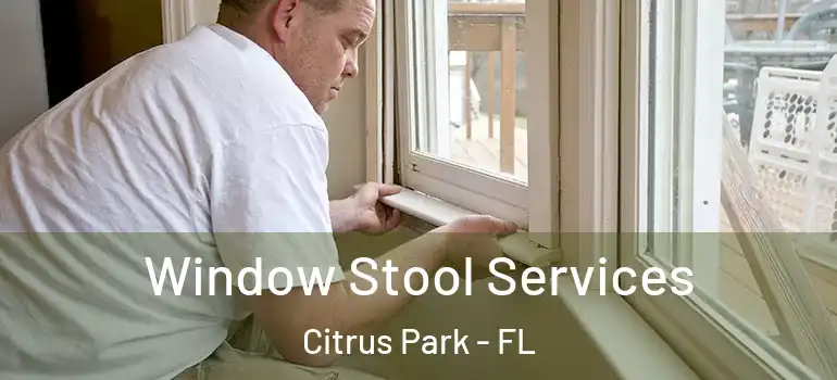  Window Stool Services Citrus Park - FL