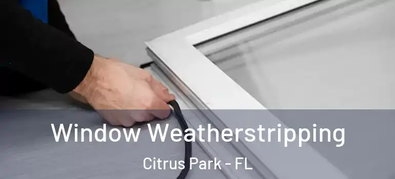  Window Weatherstripping Citrus Park - FL