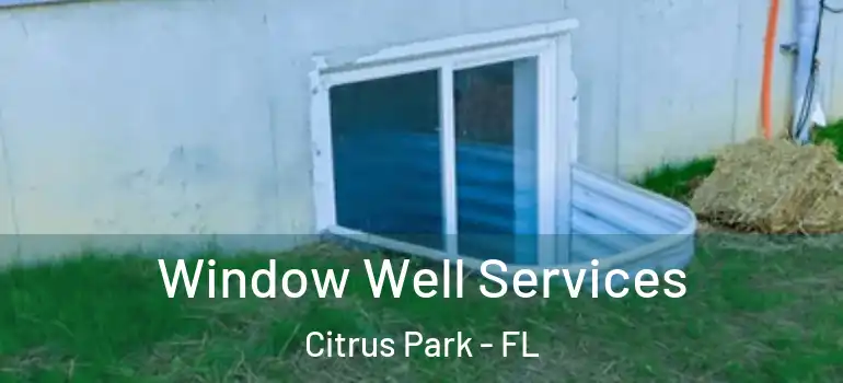  Window Well Services Citrus Park - FL