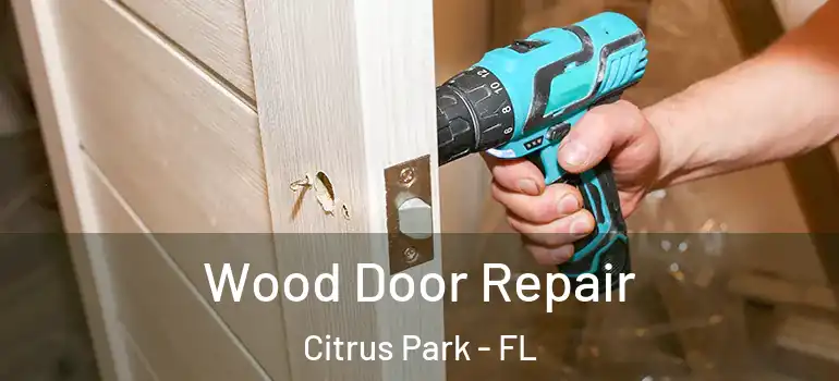  Wood Door Repair Citrus Park - FL